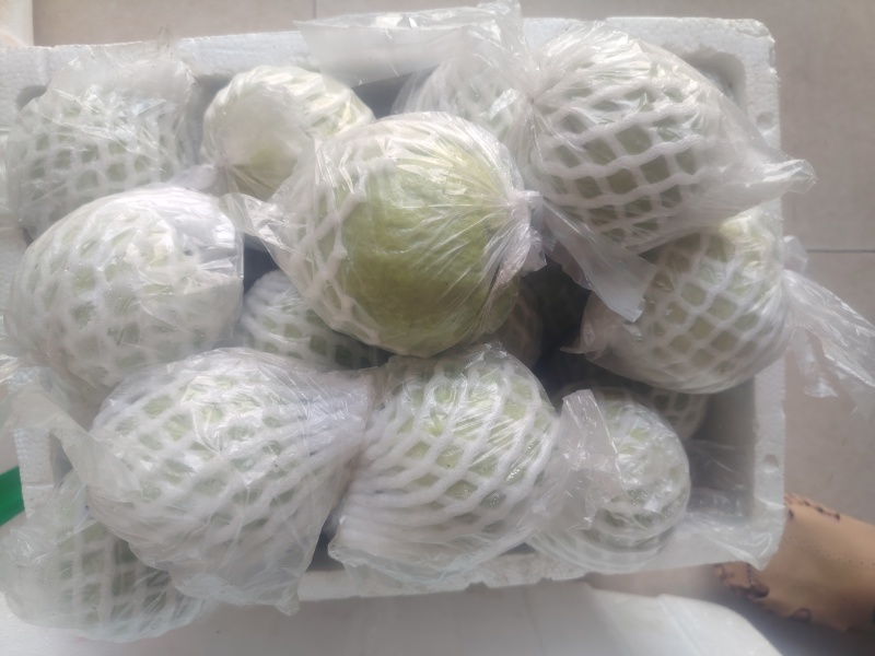 精品芭乐，白心7毛，红心1元，产地直发，一手货源。