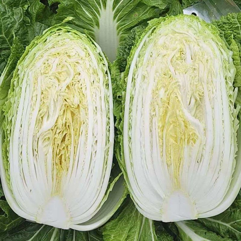 威宁高冷菜。