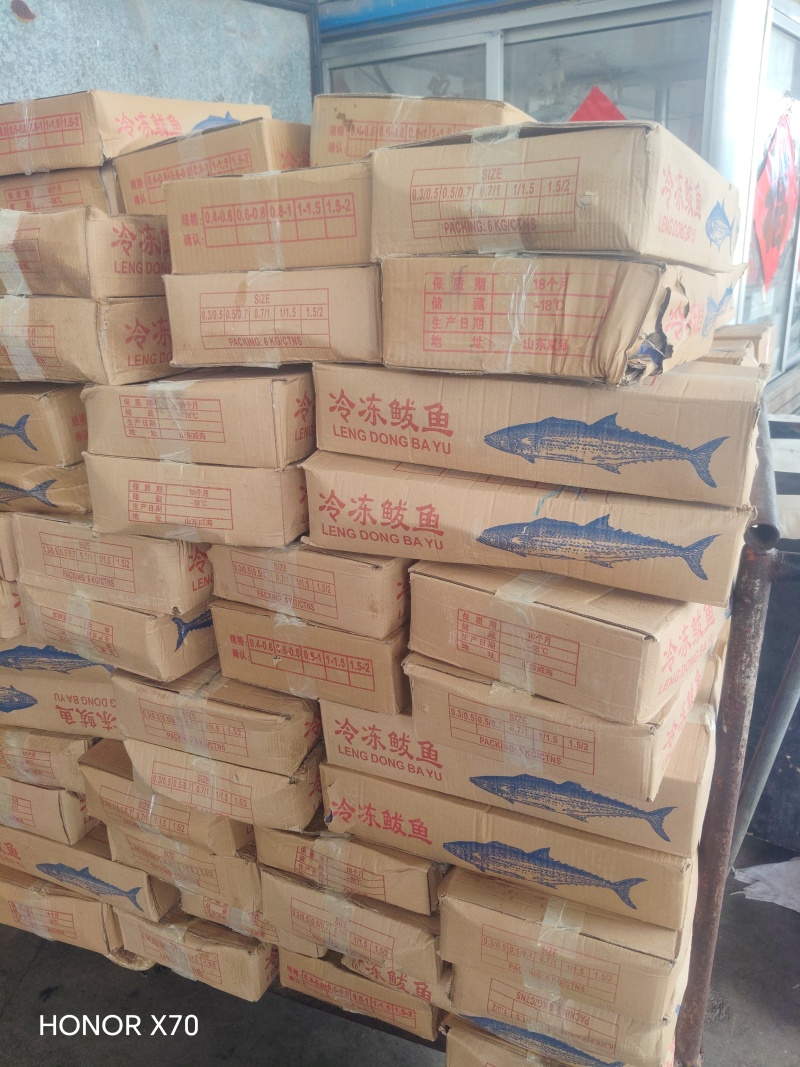 化鲜鲅鱼