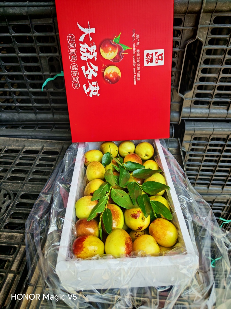 陕西大荔冬枣对接各大电商平台社区团购美图多多仓