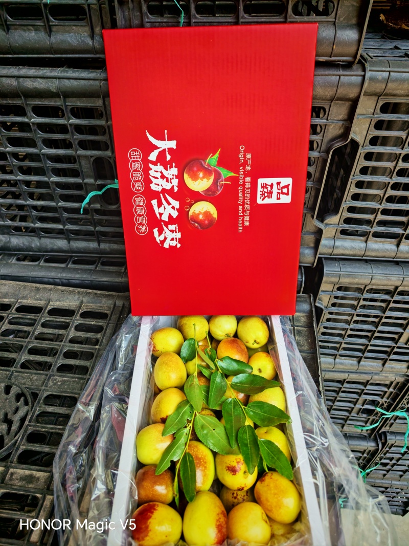陕西大荔冬枣对接各大电商平台社区团购美图多多仓