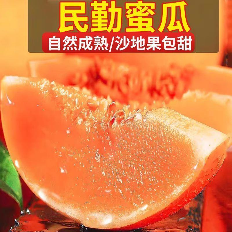 甘肃民勤蜜瓜电商代发批发