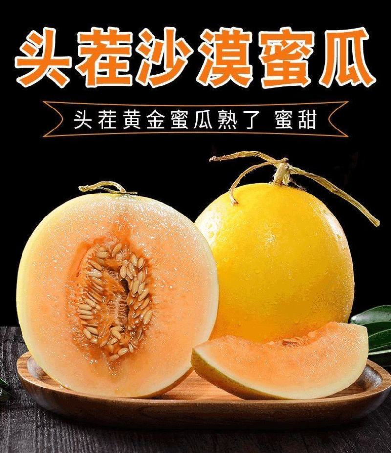 甘肃民勤蜜瓜电商代发批发