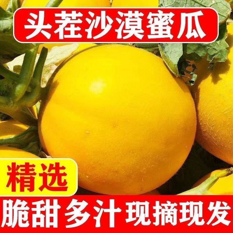 甘肃民勤蜜瓜电商代发批发