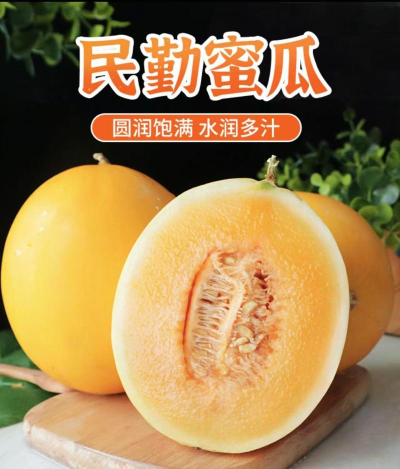甘肃民勤蜜瓜电商代发批发