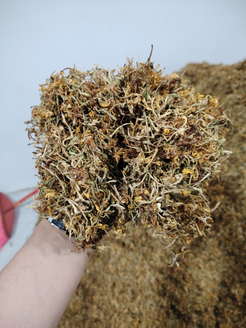 贵州精品金银花现货直发无硫无霉无杂质产地直销