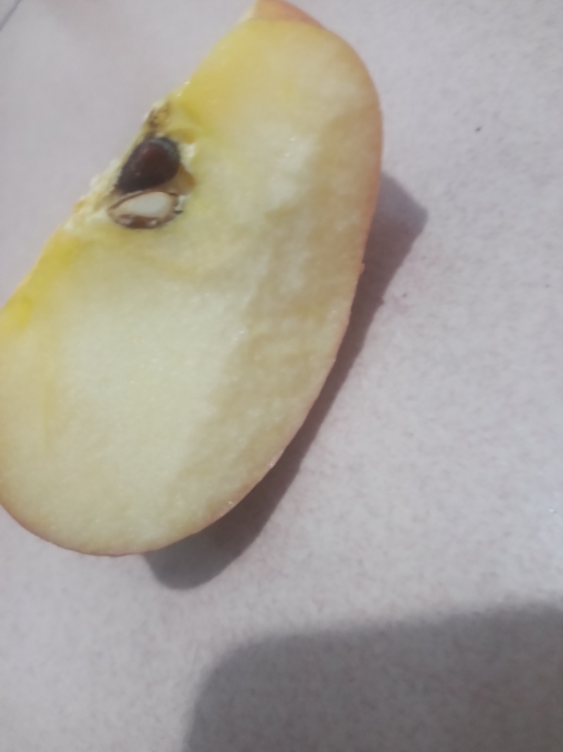红富士苹果(通货)