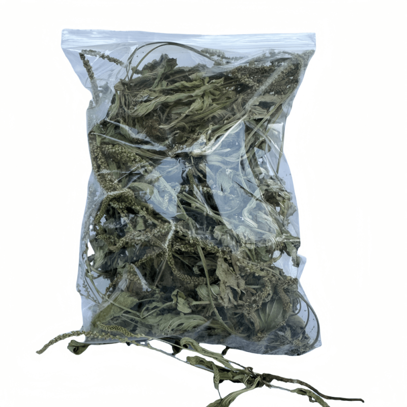 新货车前草野生整颗车前草全草车轱辘菜新鲜干货泡茶煮水中草