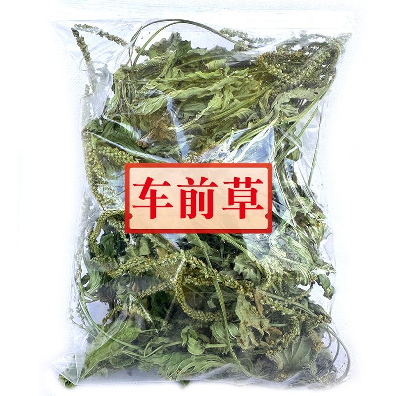 新货车前草野生整颗车前草全草车轱辘菜新鲜干货泡茶煮水中草