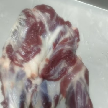 新鲜现杀腱子肉