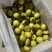 【冬枣】大荔县冬枣/陕西冬枣/新鲜冬枣/电商团购批发价