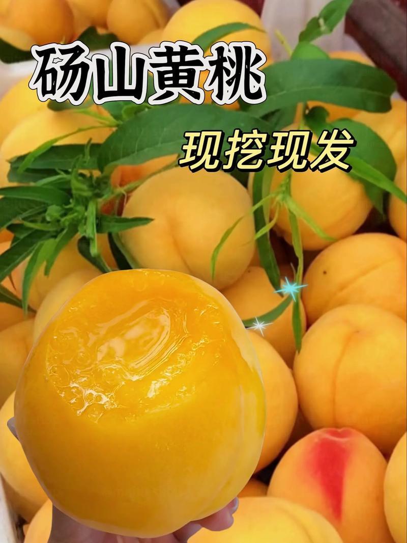 精品安徽砀山产地黄桃供应批发市场商超加工厂