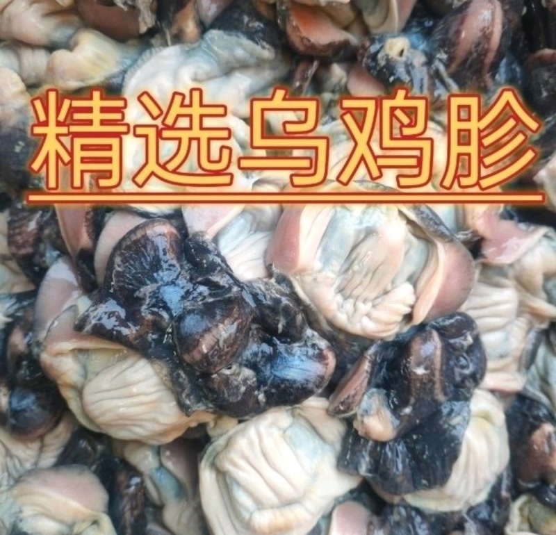 山东莘县817鸡胗，乌鸡胗公鸡胗工厂可供商超批发市场电商