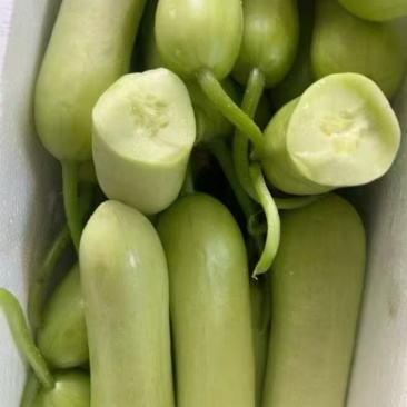 黄瓜