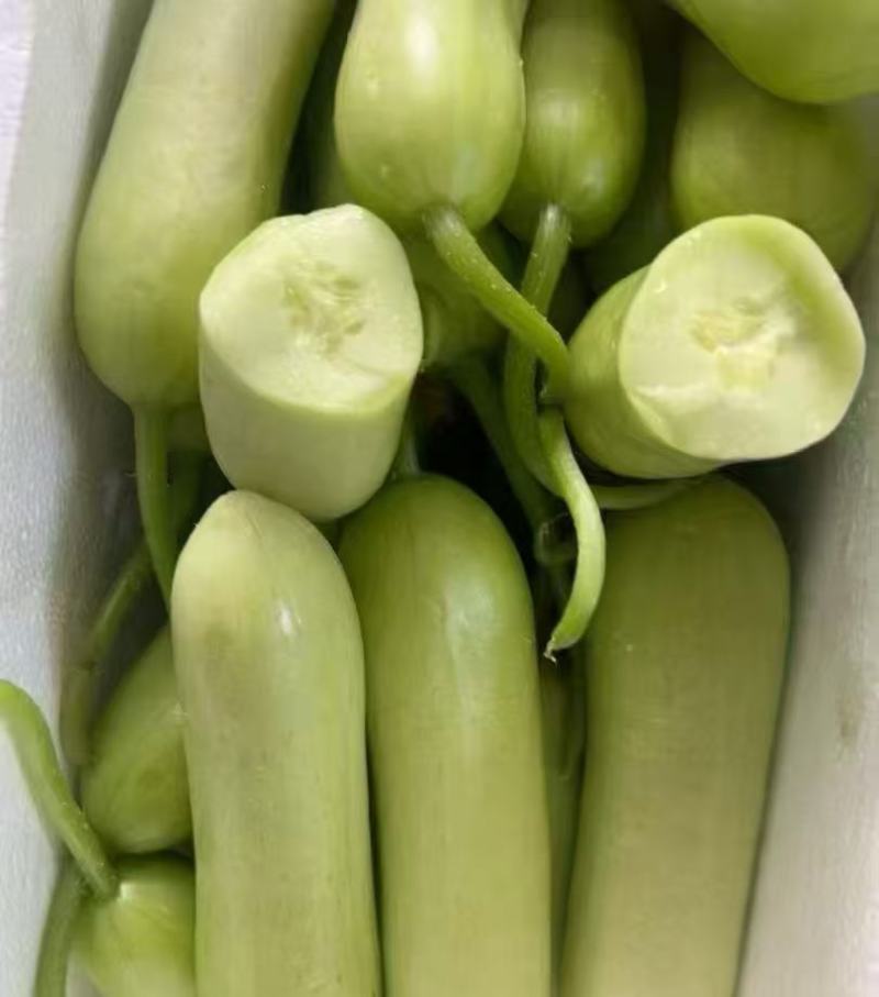 黄瓜