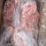 内蒙蒙隆祥羊腿6-10条装
