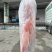 内蒙蒙隆祥羊腿6-10条装
