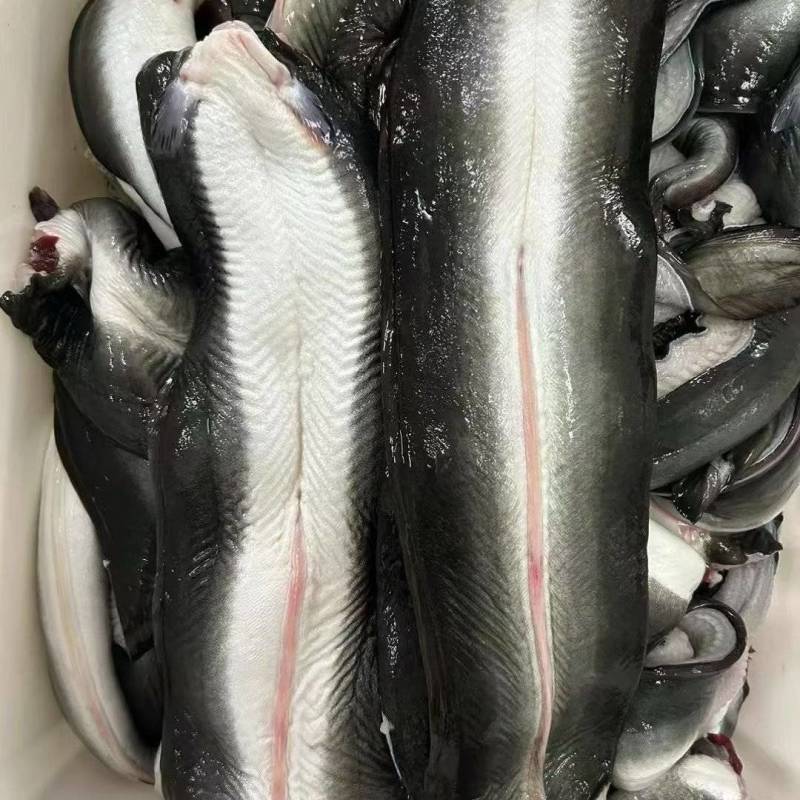 冰鲜鳗鱼，鳗鱼饭、烤肉店**！