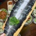 冰鲜鳗鱼，鳗鱼饭、烤肉店**！