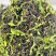 英红九号红茶