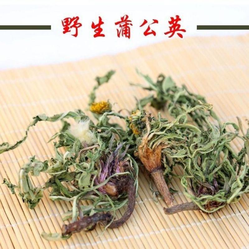 野生蒲公英茶带根带花纯干的新货蒲公英蒲公英泡水喝天然婆婆