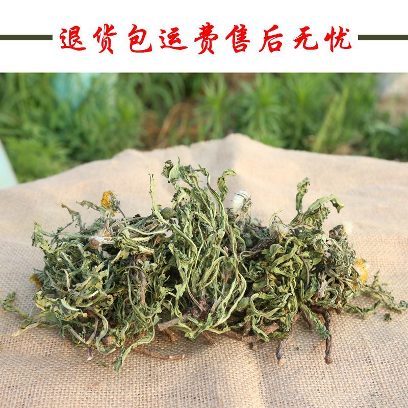 野生蒲公英茶带根带花纯干的新货蒲公英蒲公英泡水喝天然婆婆