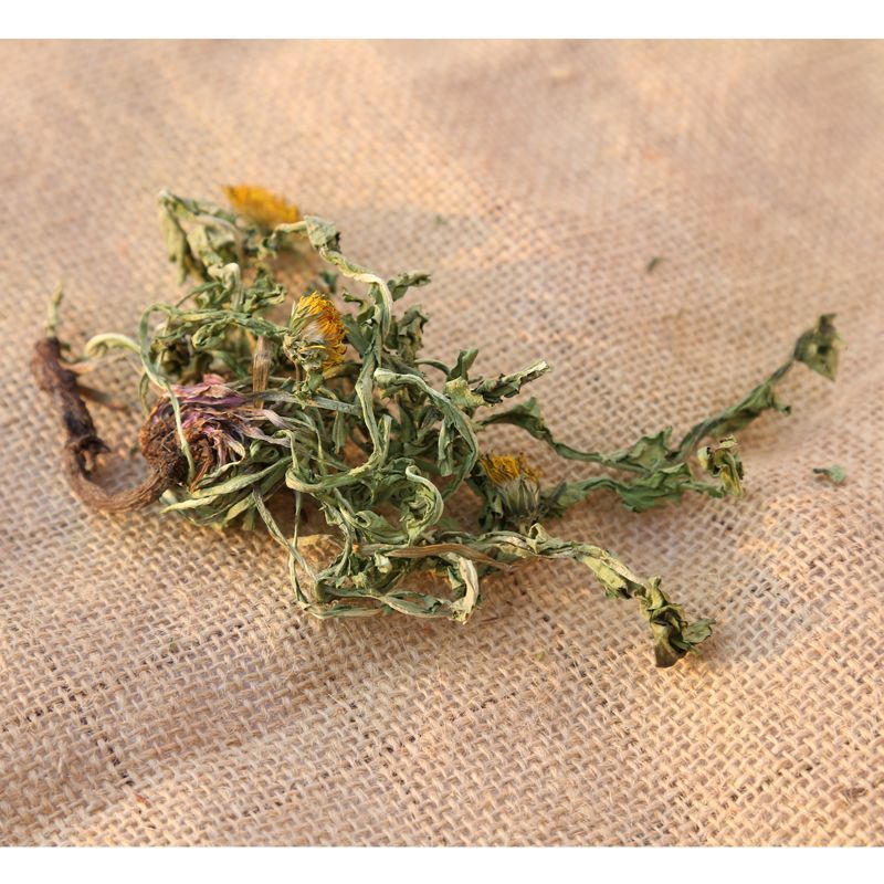 野生蒲公英茶带根带花纯干的新货蒲公英蒲公英泡水喝天然婆婆