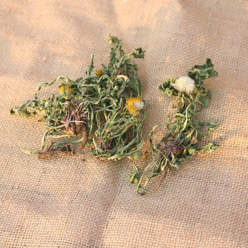 野生蒲公英茶带根带花纯干的新货蒲公英蒲公英泡水喝天然婆婆