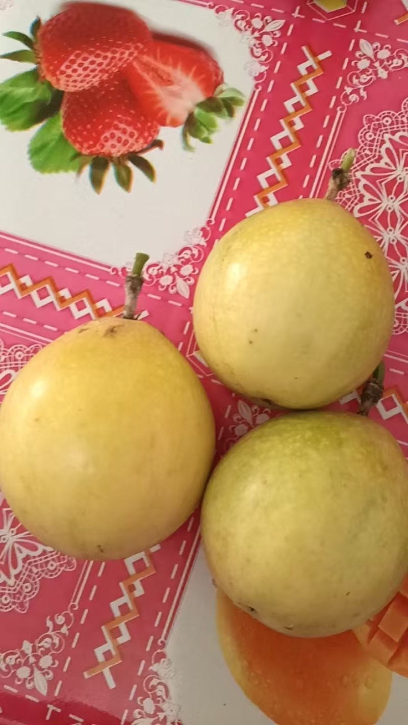 大量185百0667香果