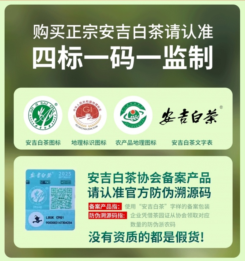 沁欣铭正宗手工高山安吉白茶2026年新茶礼盒装口粮茶