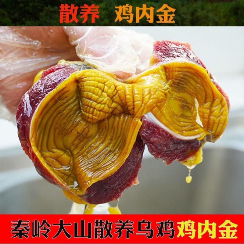 中药材炒鸡内金山区放养干净无杂质50g-500g可选另有