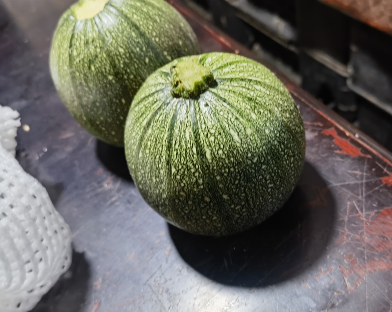 精品圆葫芦，绿皮圆葫芦，圆瓜产地一手货源代发全国