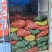 基地直发荞麦百合，家庭盆栽