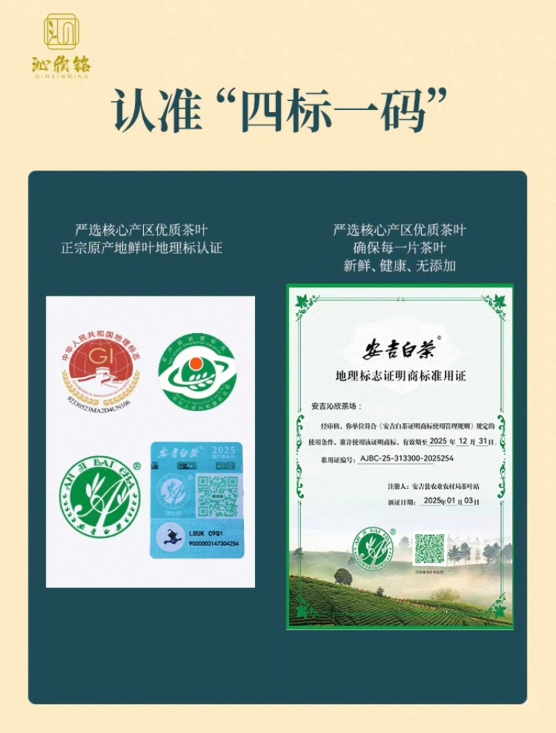沁欣铭·正宗安吉白茶高山绿茶2026年新茶礼盒装自己喝