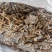 黑水虻鲜虫冻虫，虫粉