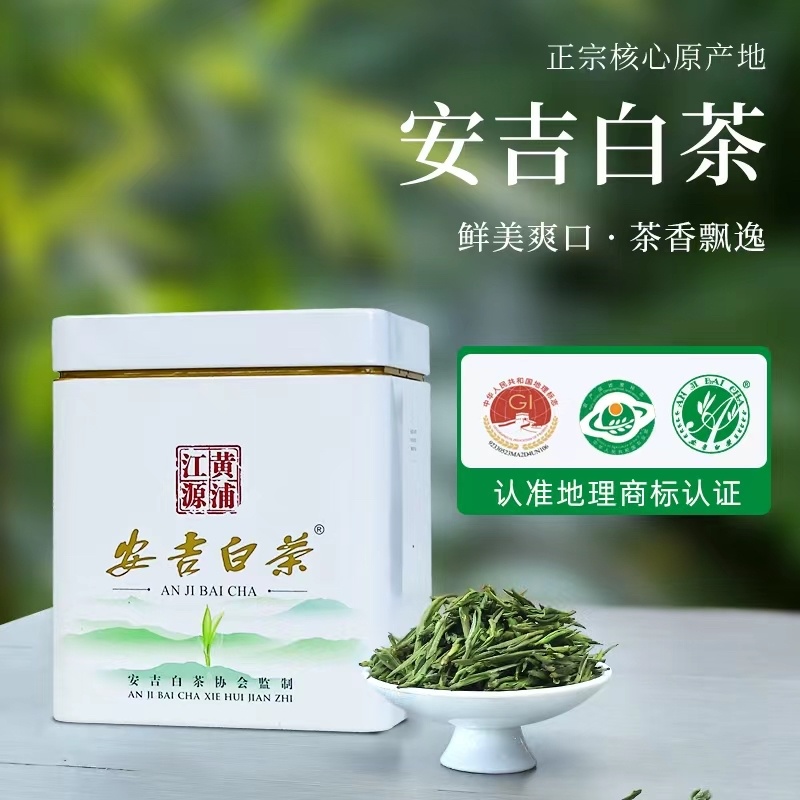 安吉**白茶2026年新茶沁欣铭正宗明前特级春茶