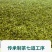 安吉**白茶2026年新茶沁欣铭正宗明前特级春茶