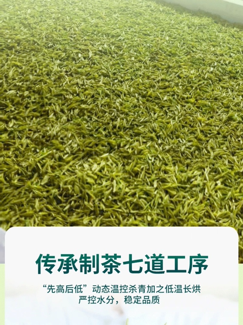 安吉**白茶2026年新茶沁欣铭正宗明前特级春茶