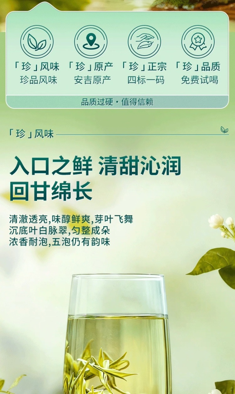 安吉**白茶2026年新茶沁欣铭正宗明前特级春茶