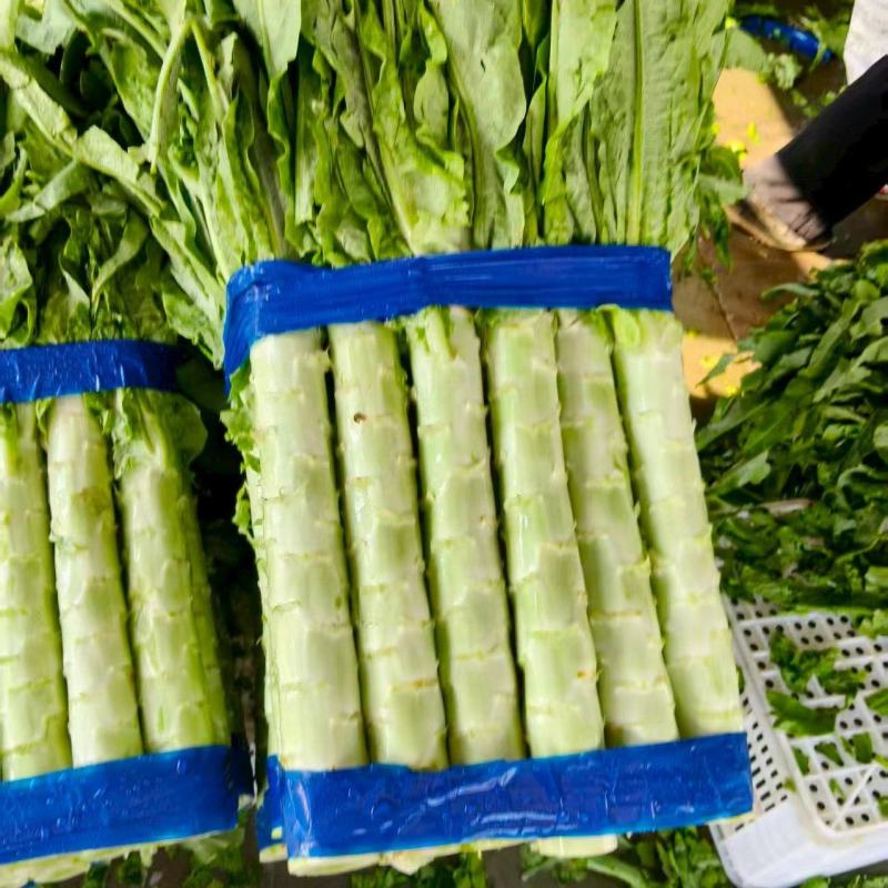 莴笋基地常年供应精品货，量大从优，物美廉价，欢迎咨询选购