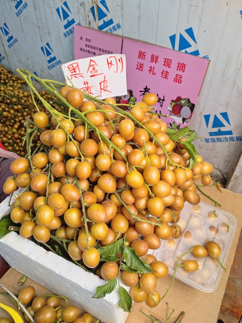 黑金刚黄皮果