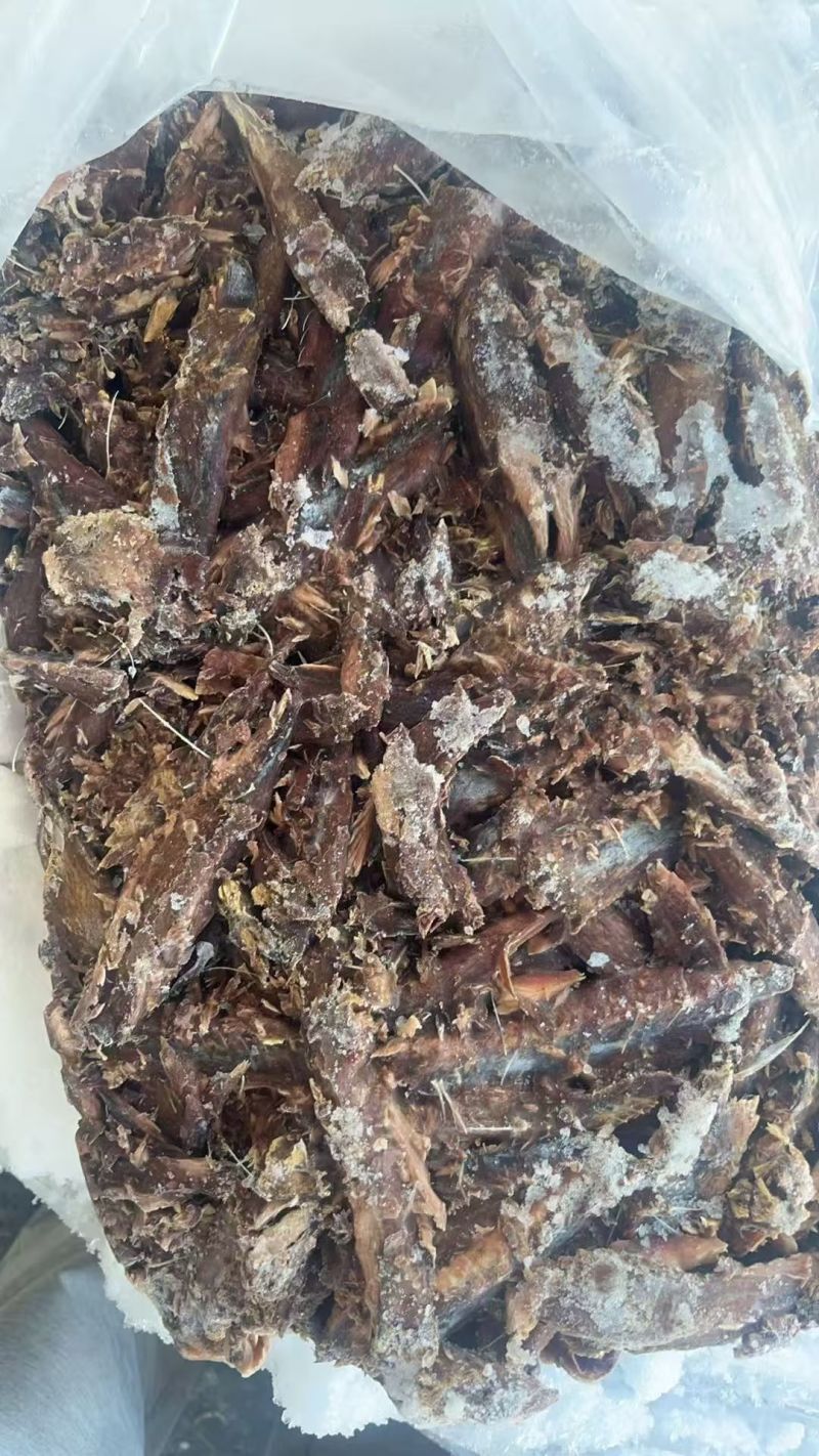 金枪鱼红肉块鱼碎肉价格美丽欢迎咨询来电优