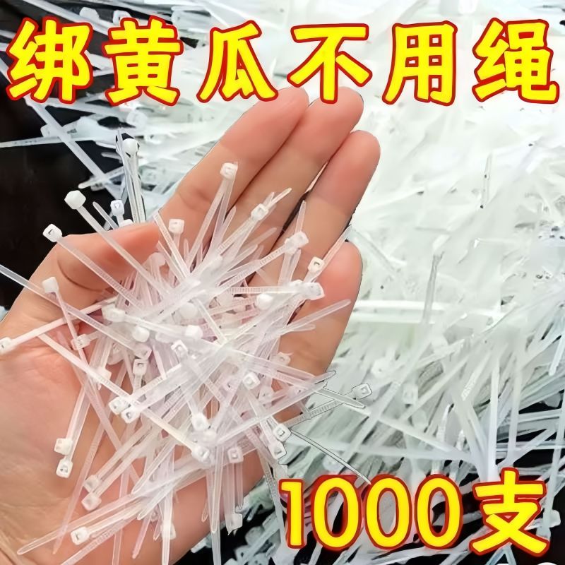 小号扎带园艺尼龙扎带国标3x120宽1.9mm长10厘米