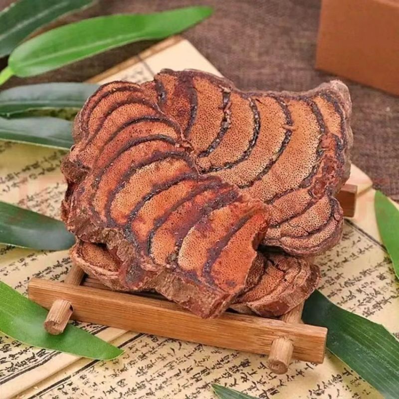 广西正宗鸡血藤正品鸡血藤正宗新鲜老藤野生红藤天然泡茶泡酒