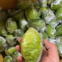 香水柠檬一件代发