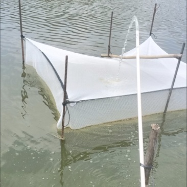 出售鱼塘水面33亩，陆地面积十几亩