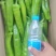 牛角尖椒大量上市了，品种繁多，冷库等一条龙服务