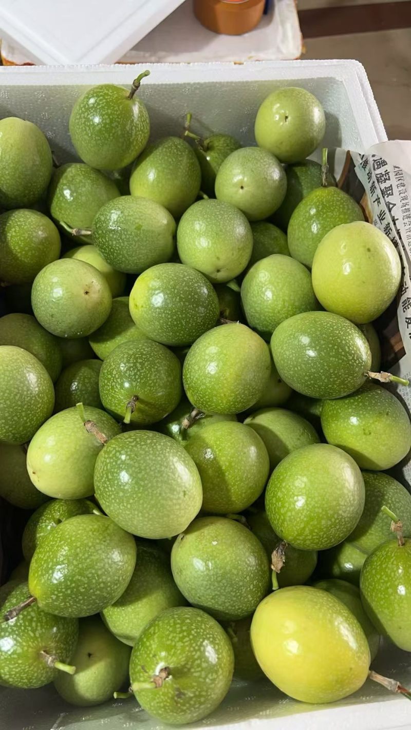 广东湛江百香果大量批发