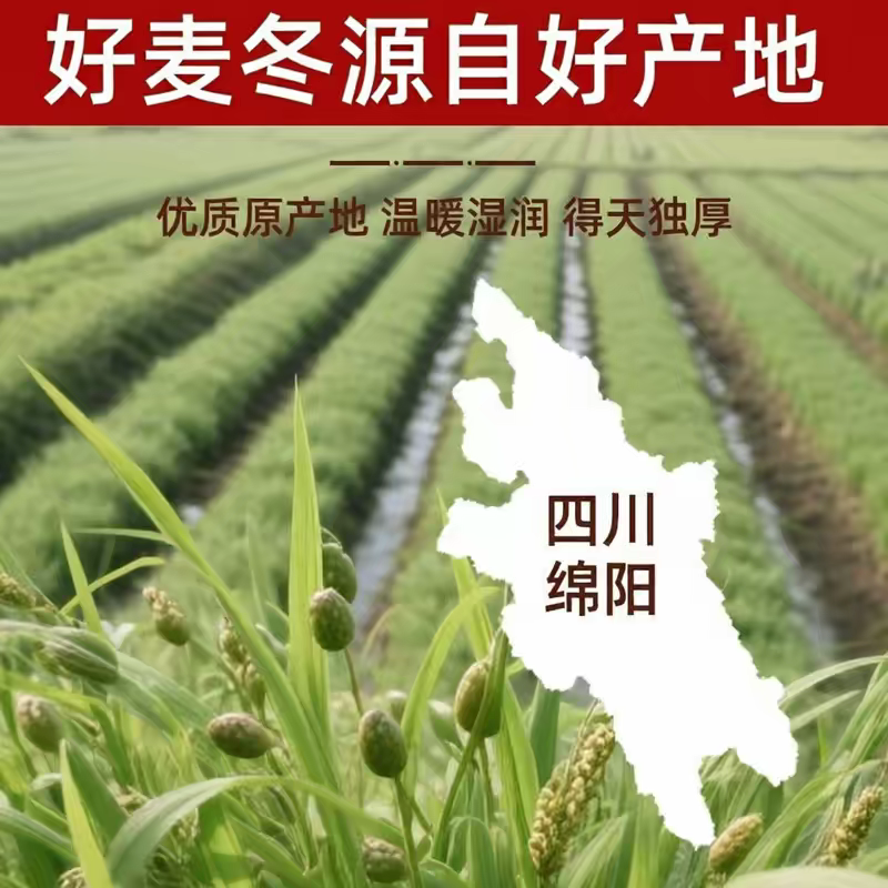 新货川麦冬无硫带芯原色原味泡水煲汤四川绵阳量大优惠