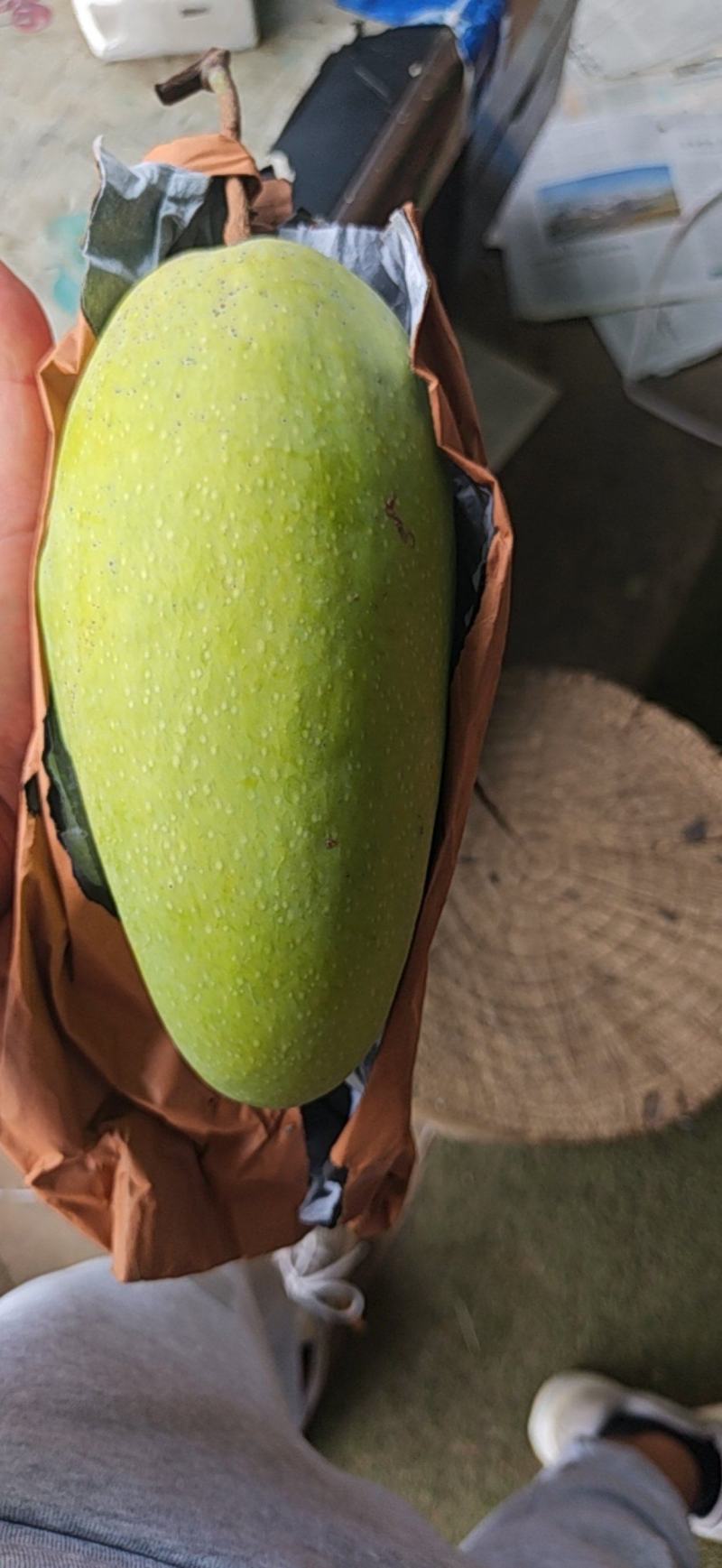 优质金煌（大青芒）电商货二级果